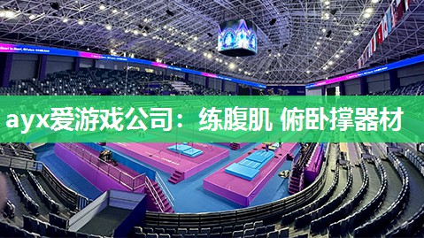 ayx爱游戏公司：练腹肌 俯卧撑器材