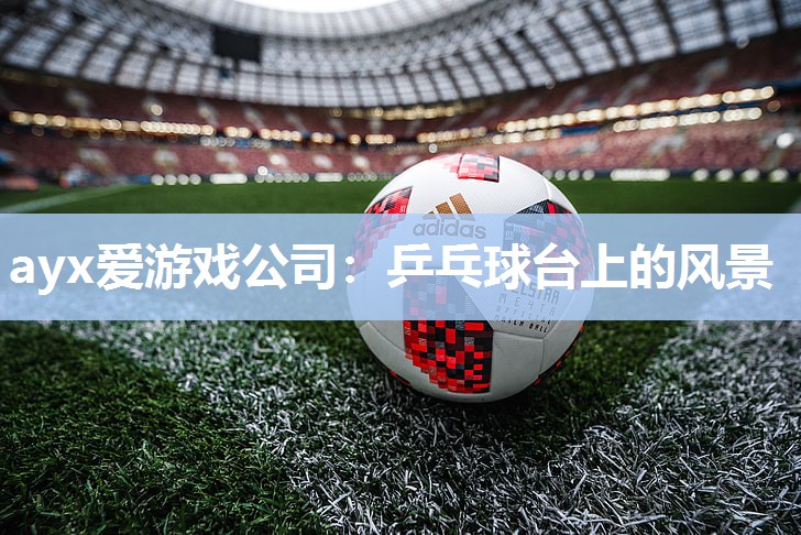 ayx爱游戏公司：乒乓球台上的风景