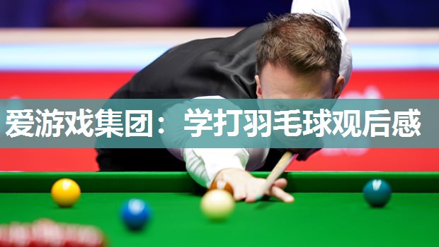 爱游戏集团：学打羽毛球观后感