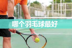 哪个羽毛球最好