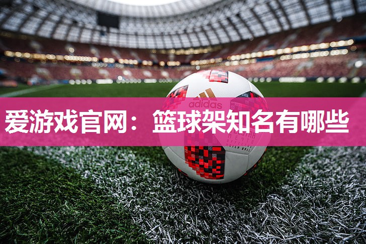 爱游戏官网：篮球架知名有哪些