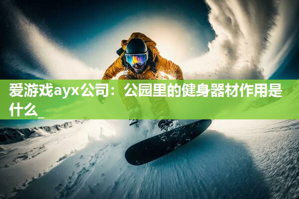 爱游戏ayx公司：公园里的健身器材作用是什么_