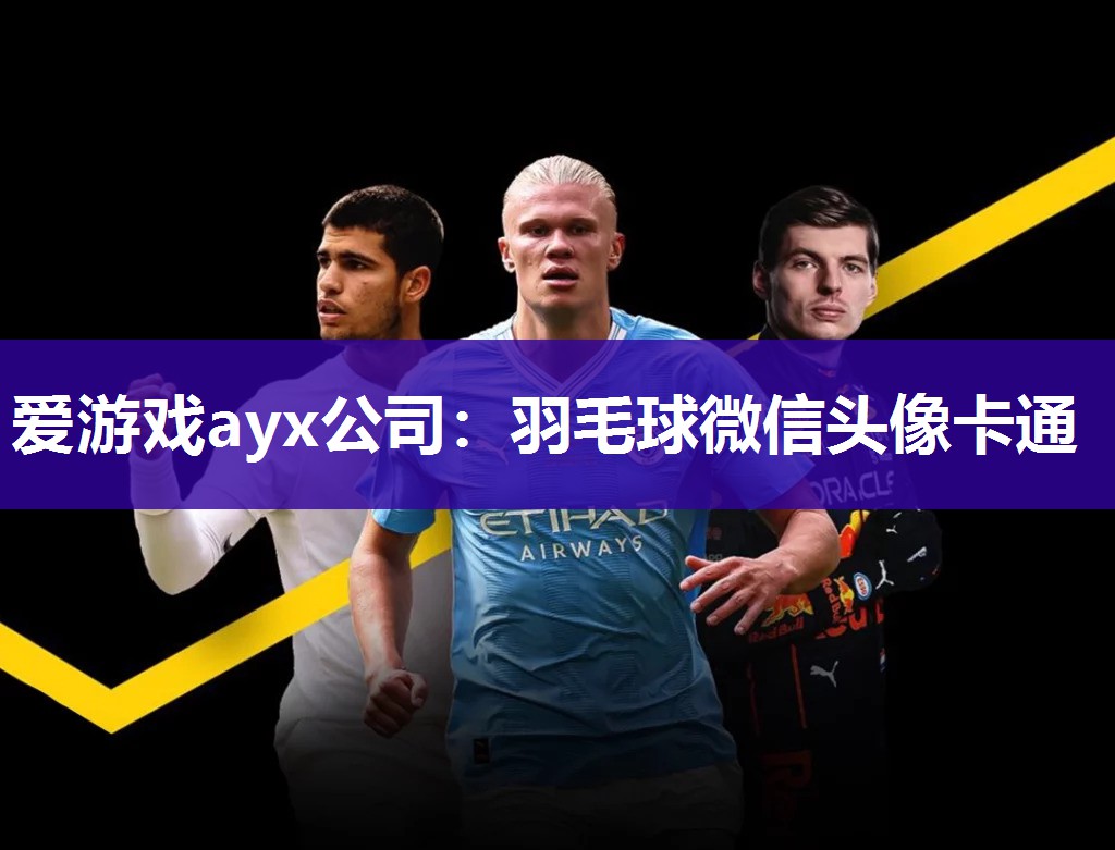 爱游戏ayx公司：羽毛球微信头像卡通