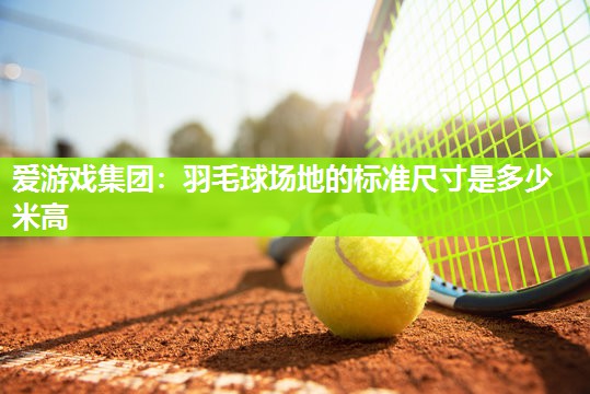 爱游戏集团：羽毛球场地的标准尺寸是多少米高