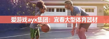 爱游戏ayx集团：宜春大型体育器材