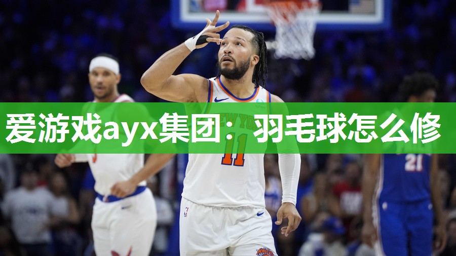 爱游戏ayx集团：羽毛球怎么修