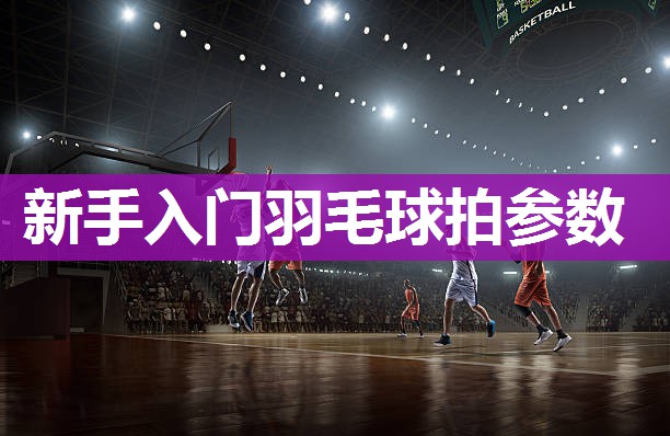 新手入门羽毛球拍参数