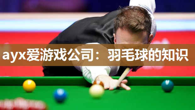 ayx爱游戏公司：羽毛球的知识