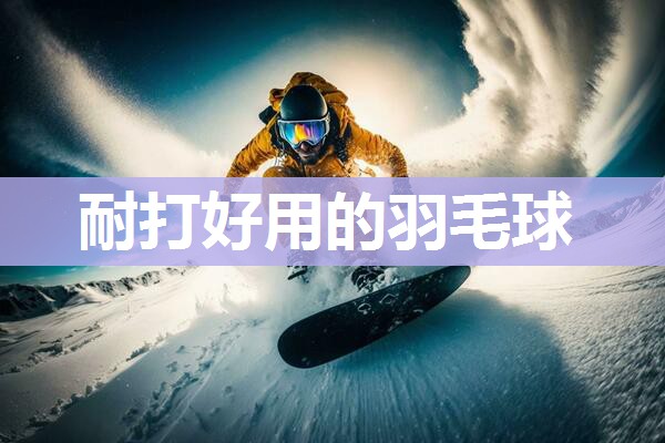 耐打好用的羽毛球
