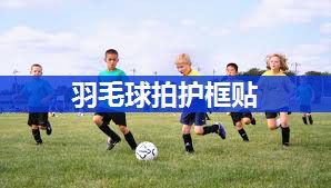 羽毛球拍护框贴