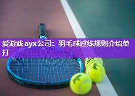 爱游戏ayx公司：羽毛球过线规则介绍单打