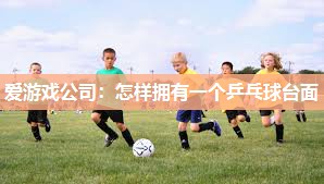 怎样拥有一个乒乓球台面