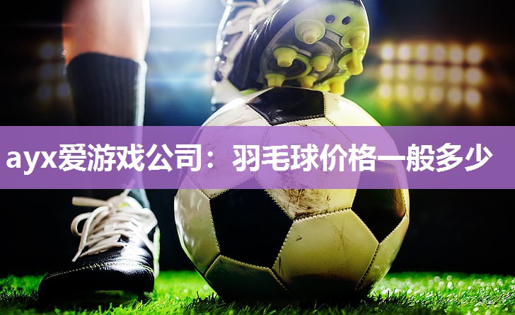 羽毛球价格一般多少