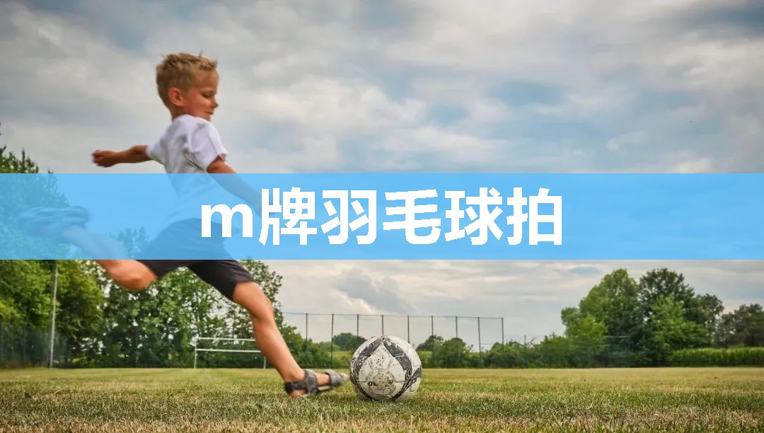 m牌羽毛球拍