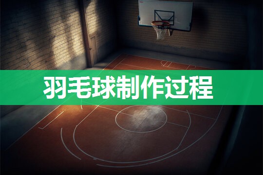 羽毛球制作过程
