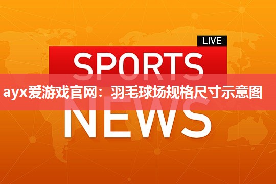 羽毛球场规格尺寸示意图