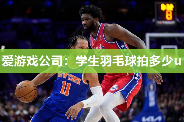 学生羽毛球拍多少u