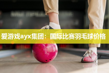 国际比赛羽毛球价格