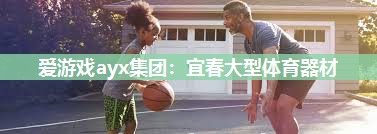 宜春大型体育器材