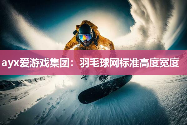 羽毛球网标准高度宽度