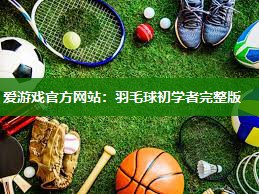 羽毛球初学者完整版