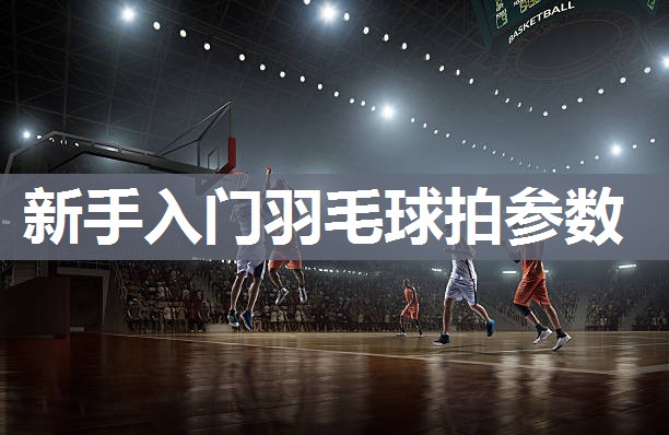 新手入门羽毛球拍参数
