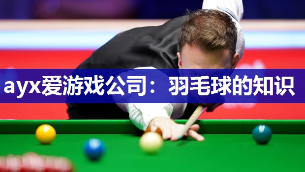 羽毛球的知识